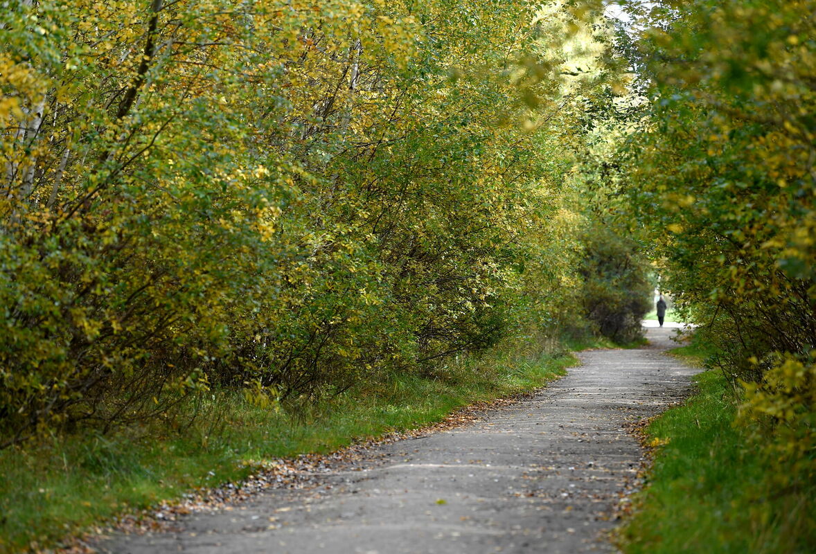 Rudens ainava Daugavgrīvā. Foto: Zane Bitere/LETA Rudens ainava Daugavgrīvā. Foto: Zane Bitere/LETA