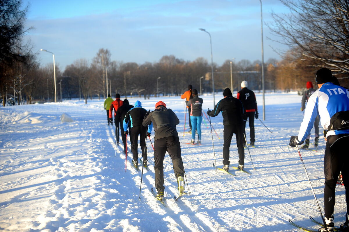 Distanču slēpošana, ilustratīvs attēls. Foto: Edijs Pālens/LETA Distanču slēpošana, ilustratīvs attēls. Foto: Edijs Pālens/LETA