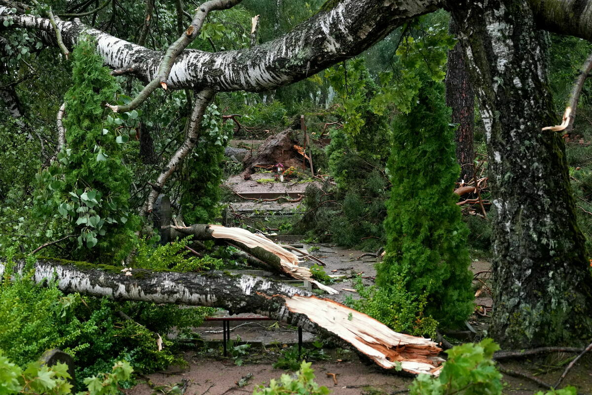 Vētras postījumi "Virkus" kapos Dobeles novadā. Foto: Lita Millere/LETA Vētras postījumi "Virkus" kapos Dobeles novadā. Foto: Lita Millere/LETA