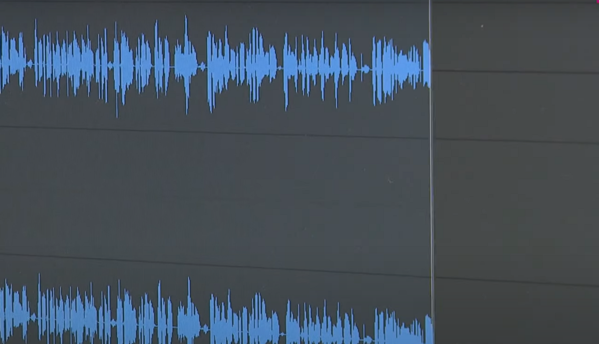 Audio ieraksts. Foto: Ekrānšāviņš no LTV ziņu sižeta