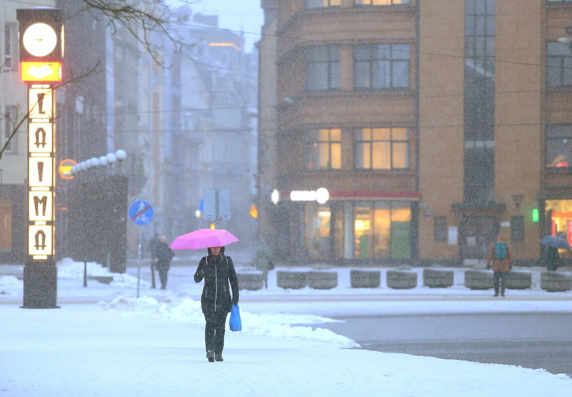 Paula Čurkste/LETA Paula Čurkste/LETA
