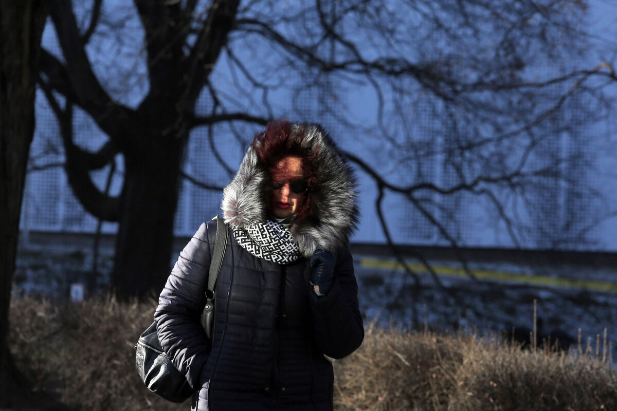 Sieviete uz ielas aukstā dienā. Foto: Edijs Pālens/LETA Sieviete uz ielas aukstā dienā. Foto: Edijs Pālens/LETA