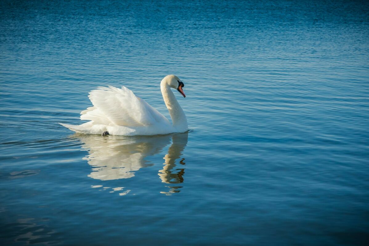 Foto: Unsplash Foto: Unsplash
