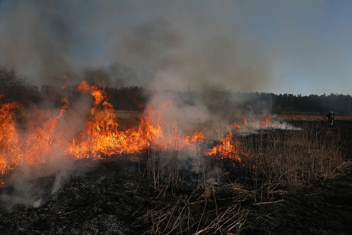 Kūlas ugunsgrēks. Foto: Edijs Pālens/LETA Kūlas ugunsgrēks. Foto: Edijs Pālens/LETA