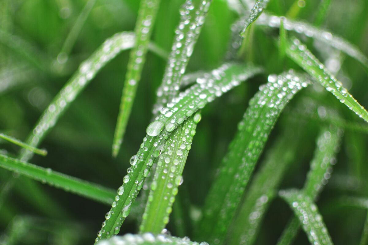 Foto: Unsplash Foto: Unsplash