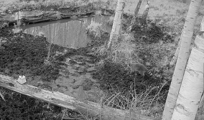 Foto: Žurnāla "Medības" lasītājs Foto: Žurnāla "Medības" lasītājs