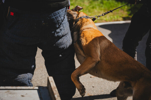 Foto: Valsts policija Foto: Valsts policija