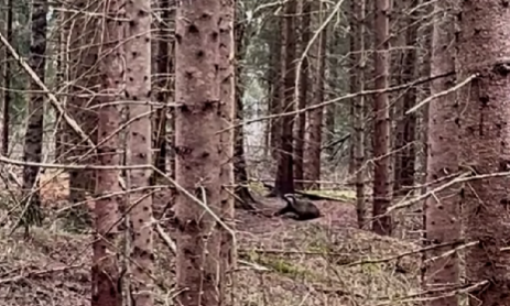 Foto: Ekrānšāviņš no video Foto: Ekrānšāviņš no video