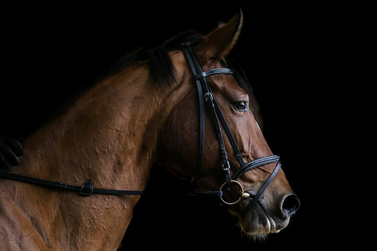 Ilustratīvs attēls. Foto: "Unsplash" Ilustratīvs attēls. Foto: "Unsplash"