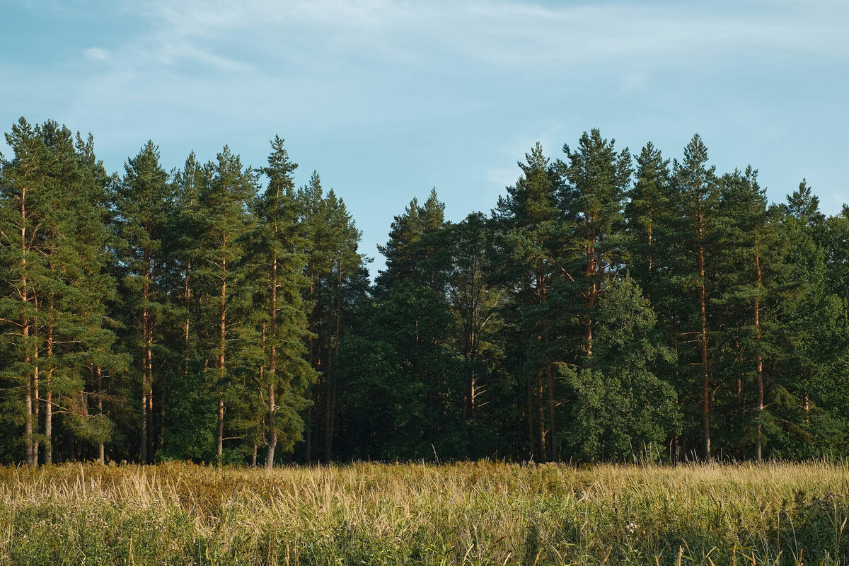 Ilustratīvs attēls. Foto: Freepik Ilustratīvs attēls. Foto: Freepik