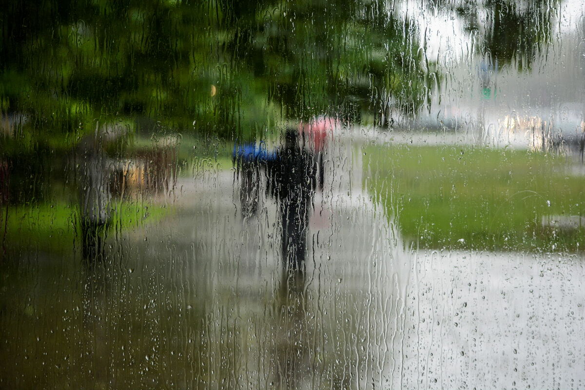 Foto: Patrīcija Eglīte/LETA Foto: Patrīcija Eglīte/LETA