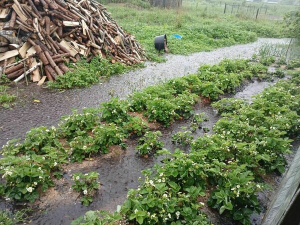 Applūdušie Līvāni. Foto: aculiecinieku/ "Facebook"/ Kas notiek Līvānos Applūdušie Līvāni. Foto: aculiecinieku/ "Facebook"/ Kas notiek Līvānos