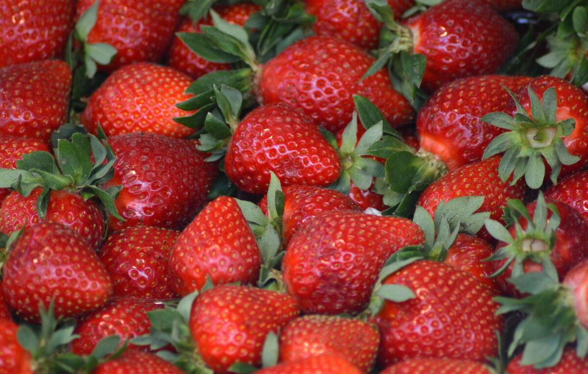 Zemenes. Foto: Zane Bitere/LETA Zemenes. Foto: Zane Bitere/LETA