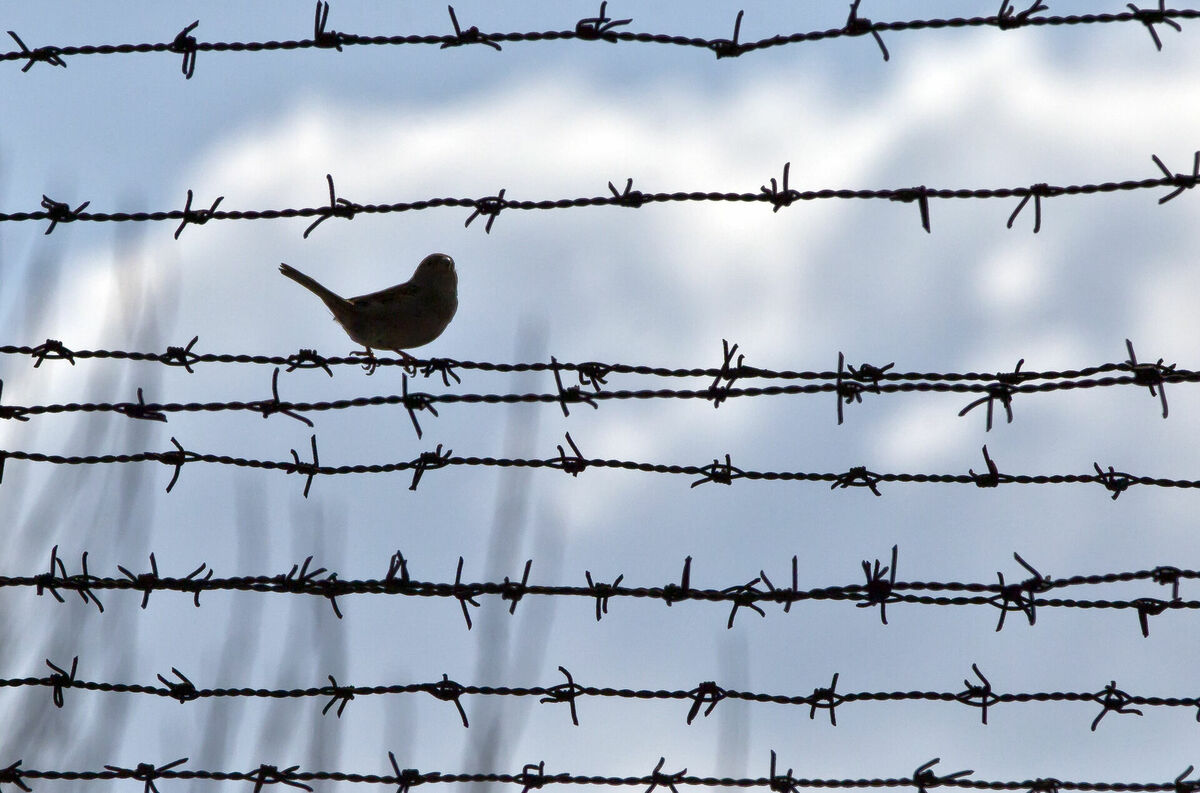 Foto: scanpix/AP Photo/Vadim Ghirda Foto: scanpix/AP Photo/Vadim Ghirda