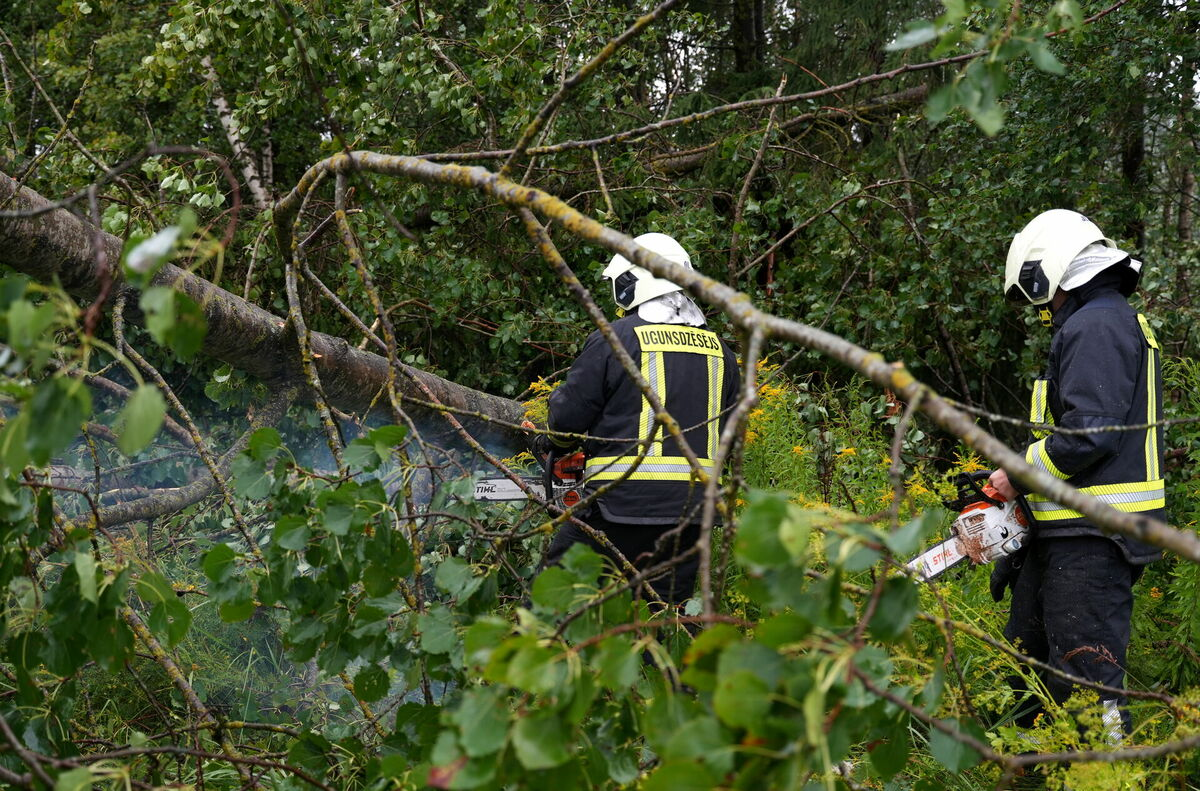 Vētras postījumu savākšanas darbi uz Jelgavas šosejas. Foto: Lita Millere/LETA Vētras postījumu savākšanas darbi uz Jelgavas šosejas. Foto: Lita Millere/LETA