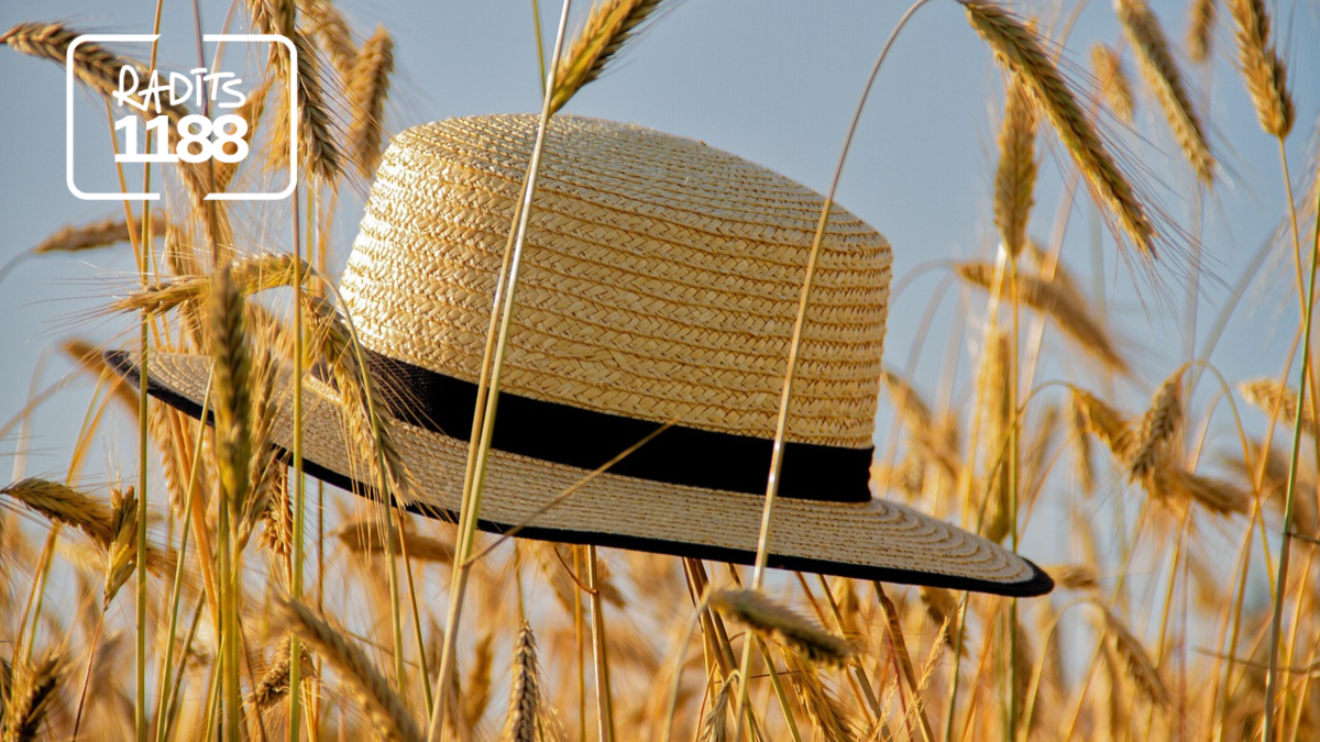 Foto: Pixabay Foto: Pixabay