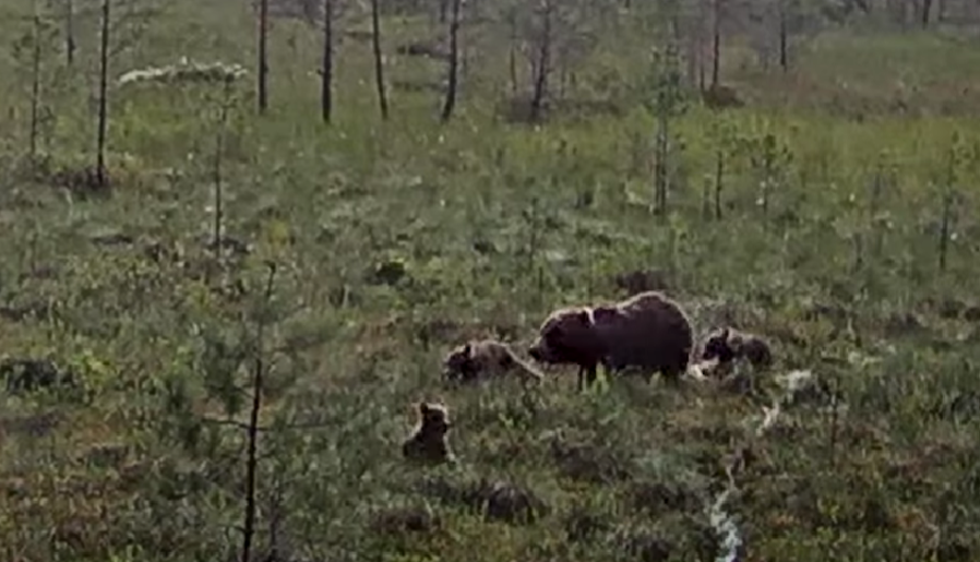 Foto: LVM ekrānšāviņš Foto: LVM ekrānšāviņš
