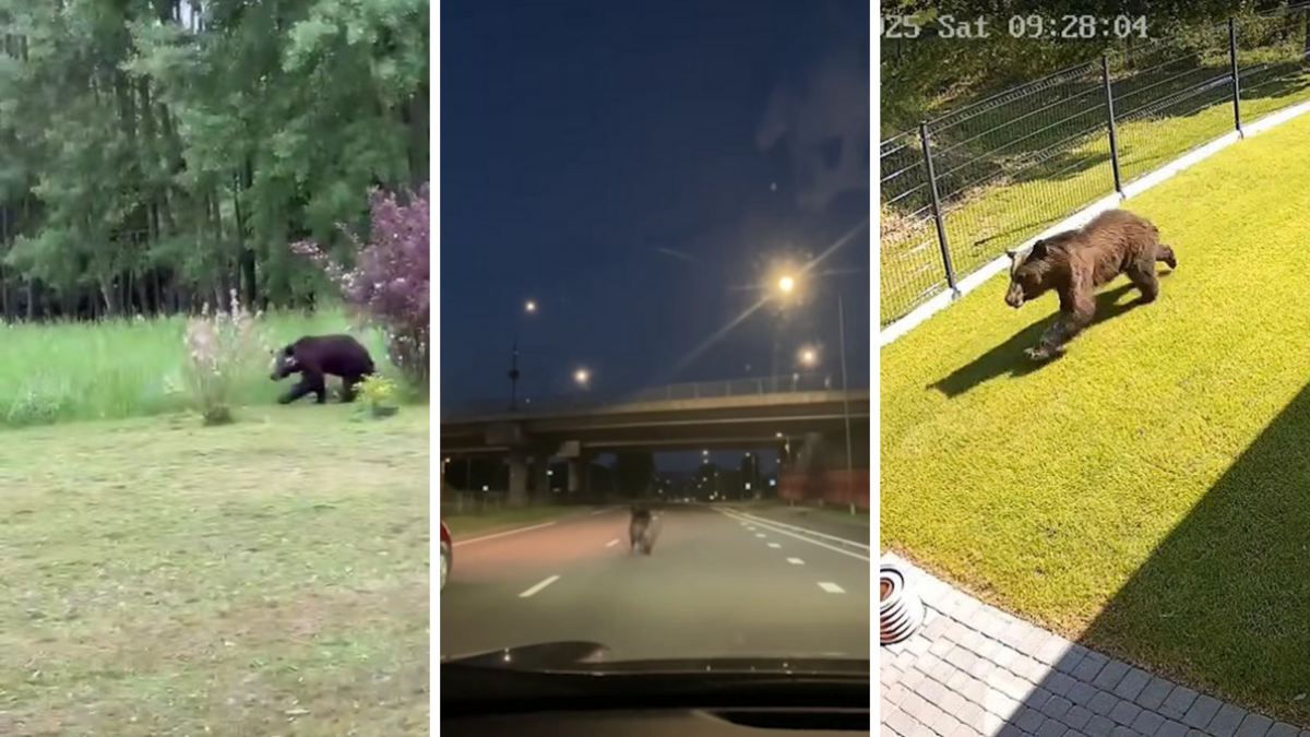 Foto: Ekrānuzņēmumi no "Facebook" Foto: Ekrānuzņēmumi no "Facebook"