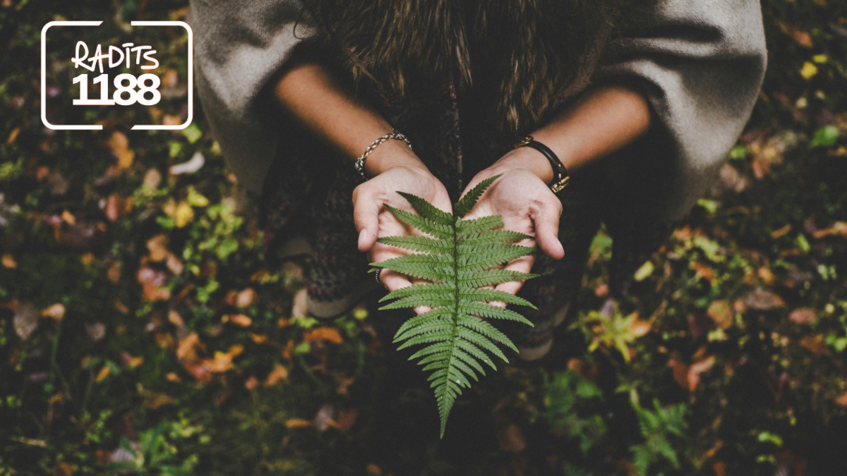 Foto: Pexels Foto: Pexels