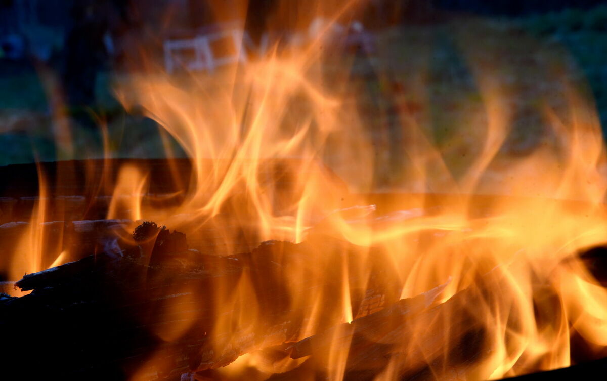 Foto: Zane Bitere/LETA Foto: Zane Bitere/LETA