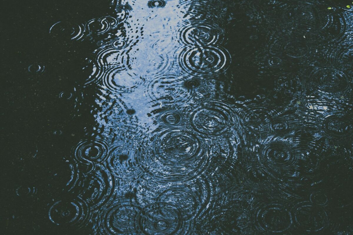Foto: Unsplash Foto: Unsplash