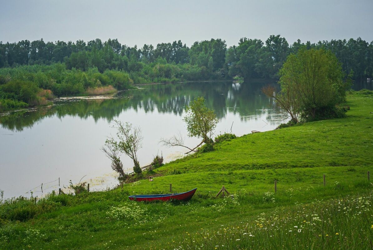 Foto: Unsplash Foto: Unsplash