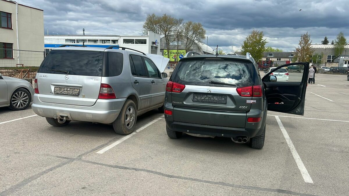 Foto: Biedrības "Tev" publicitātes attēls Foto: Biedrības "Tev" publicitātes attēls