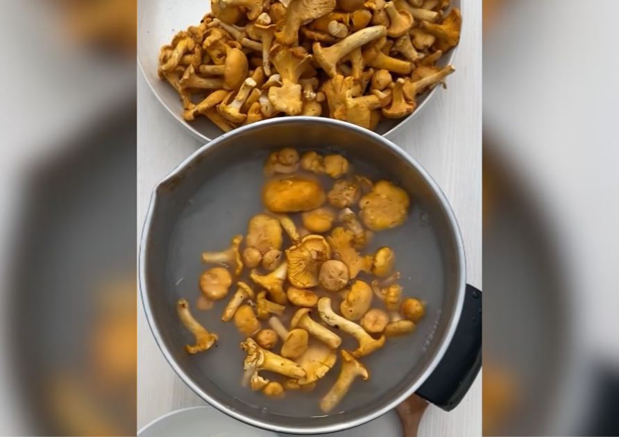 100labipadomi/Instagram 100labipadomi/Instagram