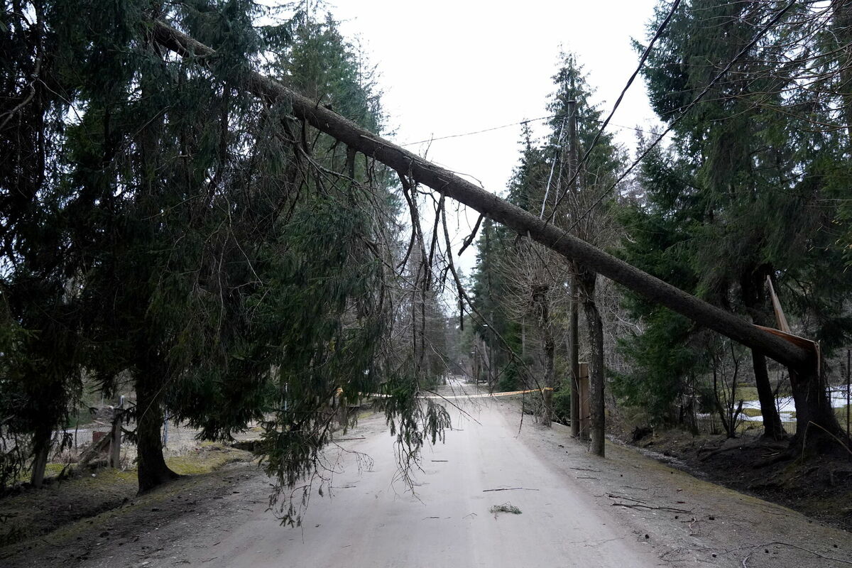 Ilustratīvs attēls. Foto: Edijs Pālens/ LETA Ilustratīvs attēls. Foto: Edijs Pālens/ LETA