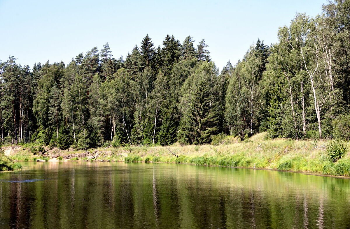 Ilustratīvs attēls. Foto: Zane Bitere/LETA Ilustratīvs attēls. Foto: Zane Bitere/LETA