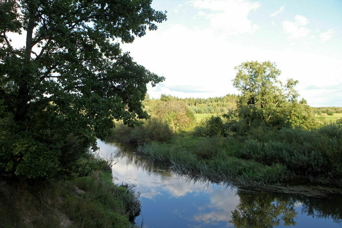 Attēls ilustratīvs. Foto: Edijs Pālens/LETA Attēls ilustratīvs. Foto: Edijs Pālens/LETA