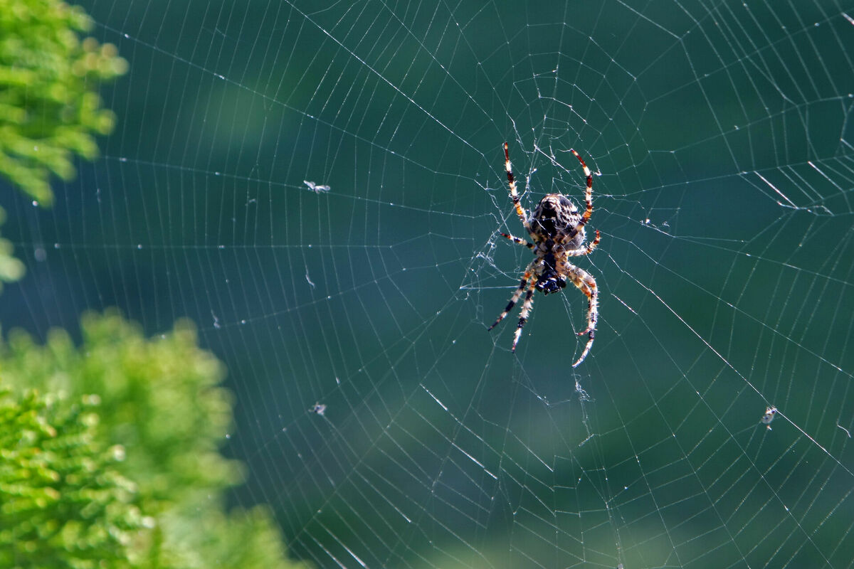 Edijs Pālens/LETA Edijs Pālens/LETA