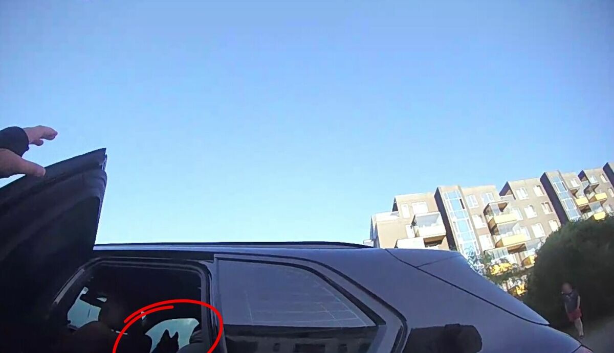 Foto: Rīgas pašvaldības policija Foto: Rīgas pašvaldības policija