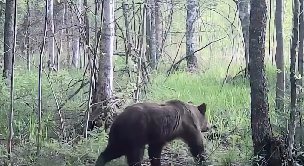 Foto: Ekrānuzņēmums no "360 Ziņneši" Foto: Ekrānuzņēmums no "360 Ziņneši"