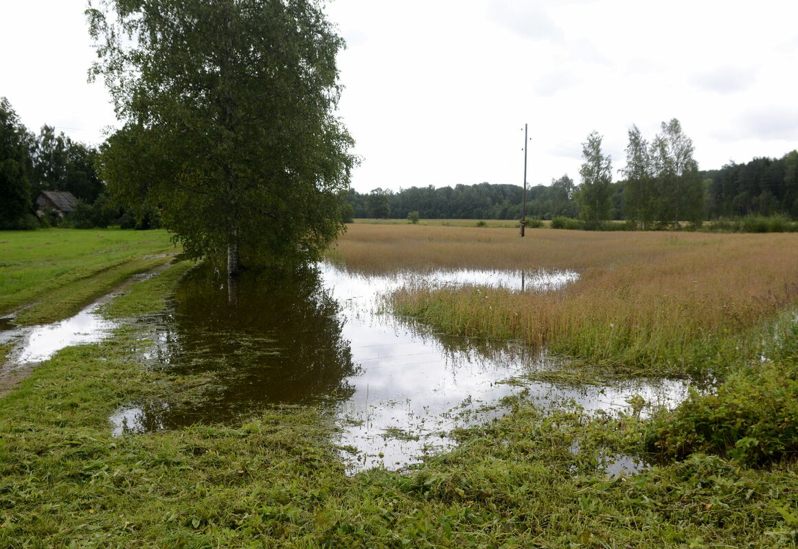 Stipro lietusgāžu ūdeņu appludināta pļava Baltinavas novadā. Foto: LETA Stipro lietusgāžu ūdeņu appludināta pļava Baltinavas novadā. Foto: LETA