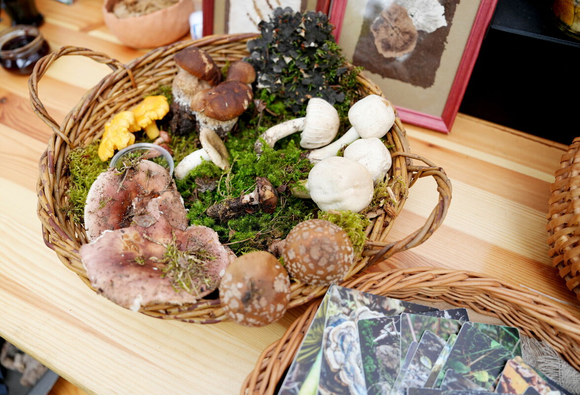 Foto: Zane Bitere/LETA Foto: Zane Bitere/LETA