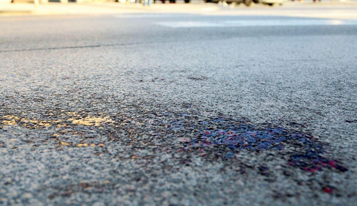 Foto: Edijs Pālens/LETA Foto: Edijs Pālens/LETA