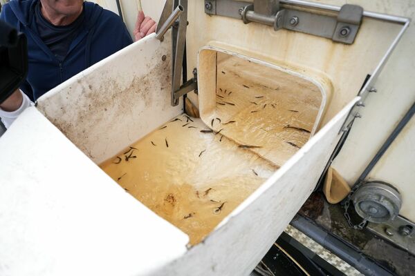 Foto: Rīgas dome Foto: Rīgas dome