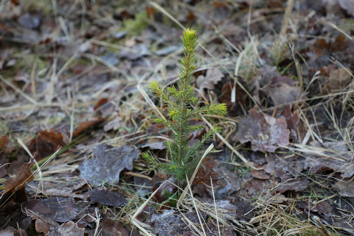 Ilustratīvs attēls. Foto: Evija Trifanova/LETA Ilustratīvs attēls. Foto: Evija Trifanova/LETA