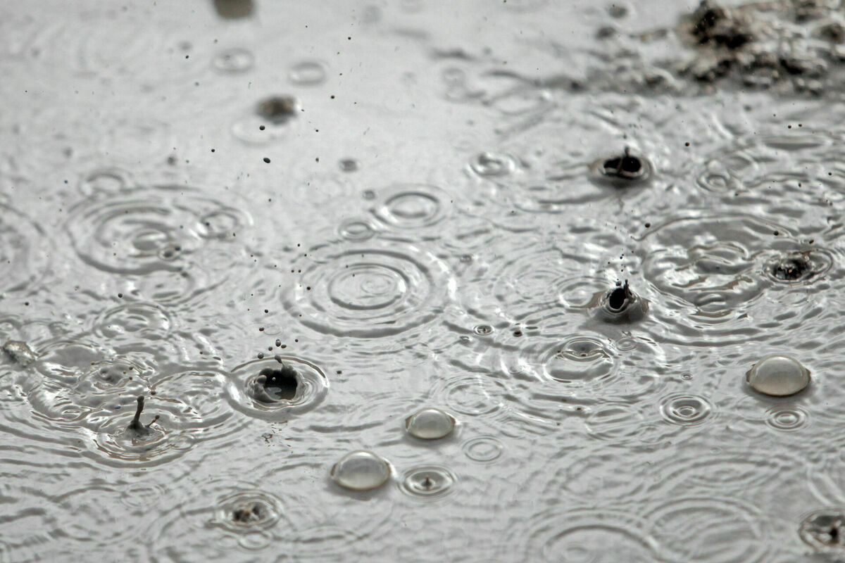 Foto: Edijs Pālens/LETA Foto: Edijs Pālens/LETA