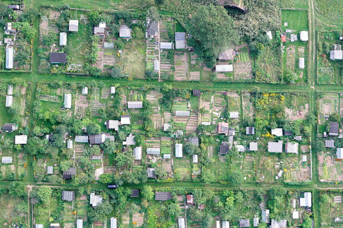 Mazdārziņu kooperatīvs. Foto: LETA Mazdārziņu kooperatīvs. Foto: LETA