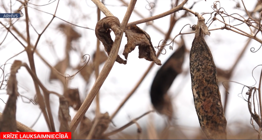 Foto: Ekrānšāviņš no sižeta Foto: Ekrānšāviņš no sižeta