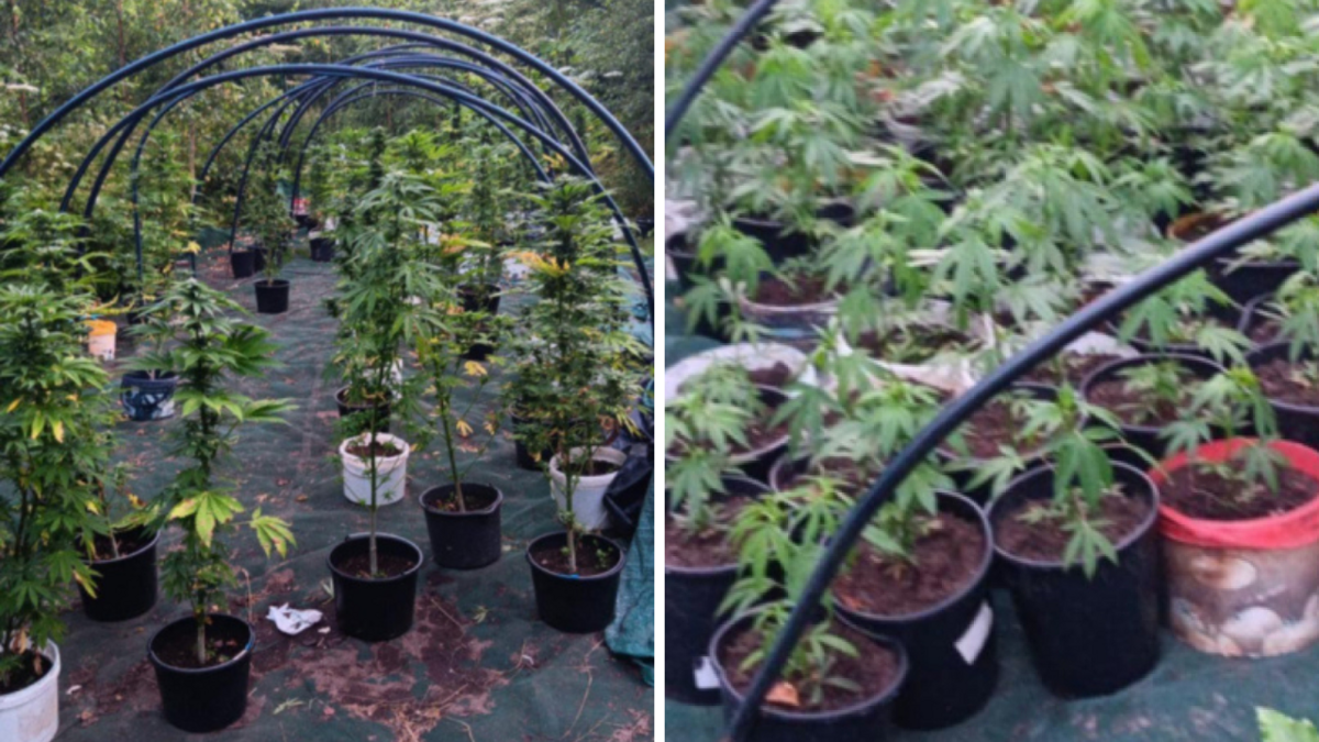 Foto: Valsts policija Foto: Valsts policija