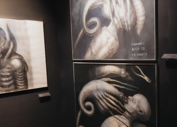 Foto: Ekrānuzņēmums no raidījuma "Ceļot bez robežām" Foto: Ekrānuzņēmums no raidījuma "Ceļot bez robežām"