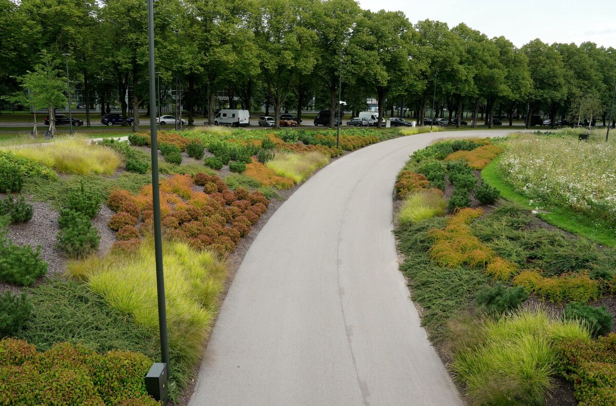 Uzvaras parks. Foto: Zane Bitere/LETA Uzvaras parks. Foto: Zane Bitere/LETA