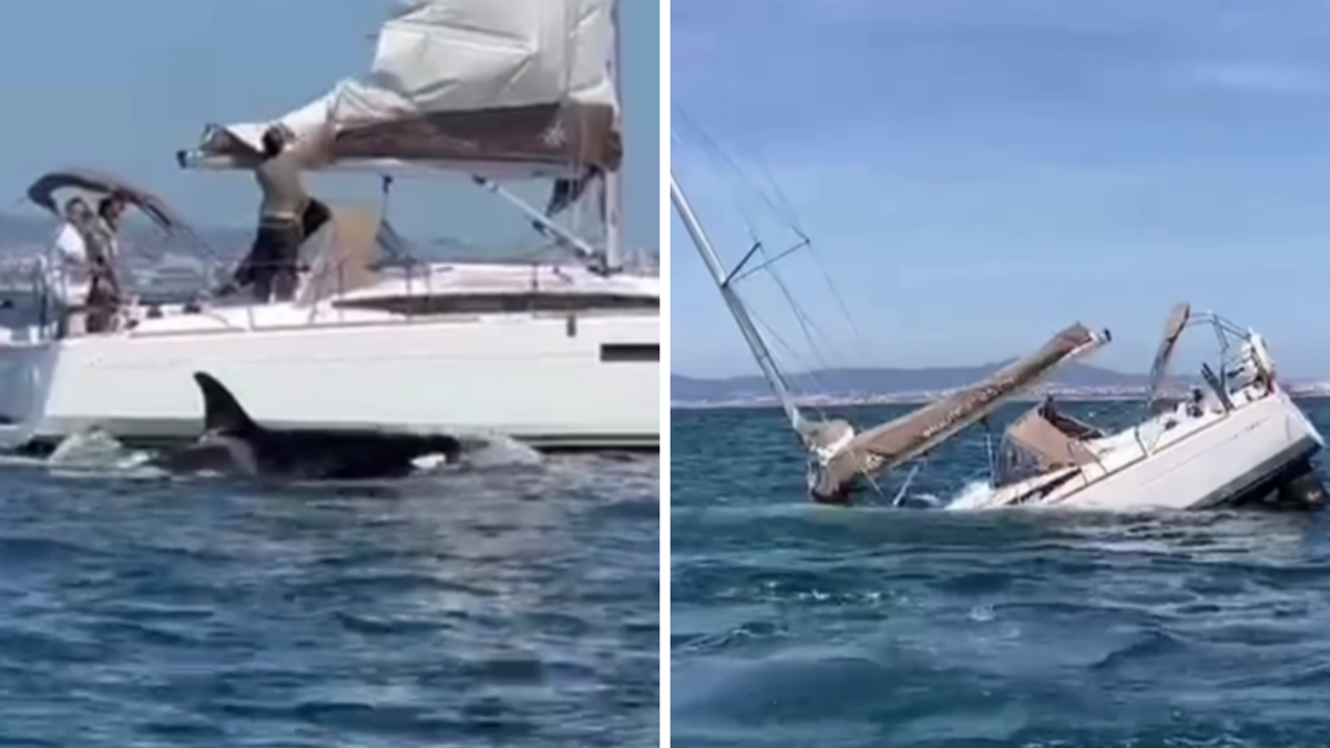 Foto: Ekrānuzņēmumi no videoklipa Foto: Ekrānuzņēmumi no videoklipa