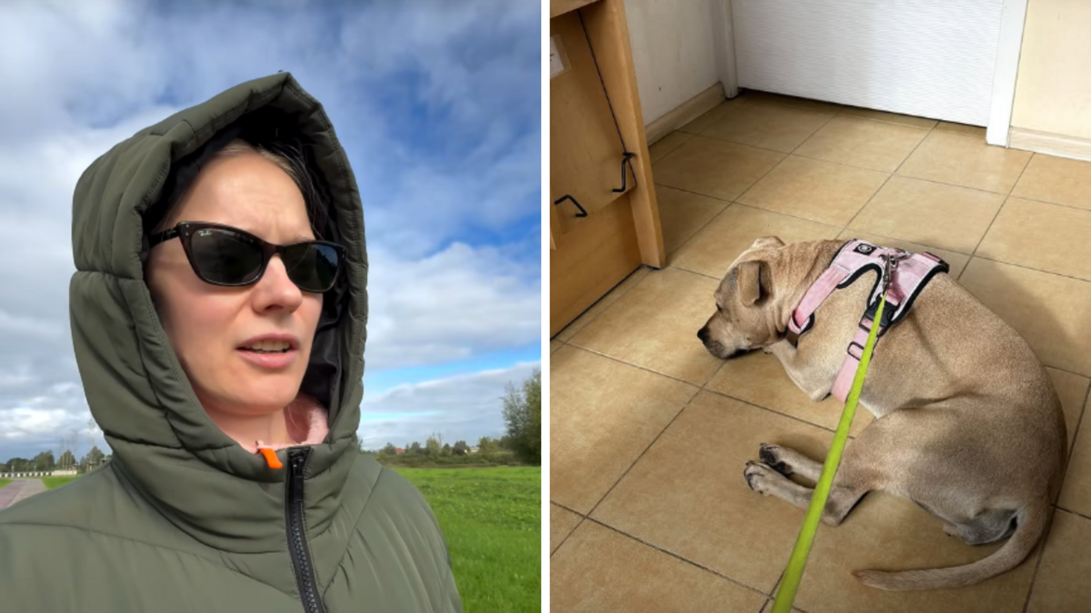 Foto: ekrānuzņēmumi no jushkapadrushka/ Instagram Foto: ekrānuzņēmumi no jushkapadrushka/ Instagram