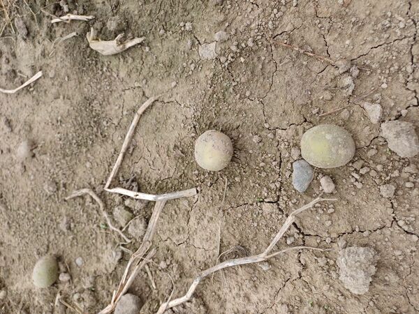 Foto: 360 Ziņas Foto: 360 Ziņas