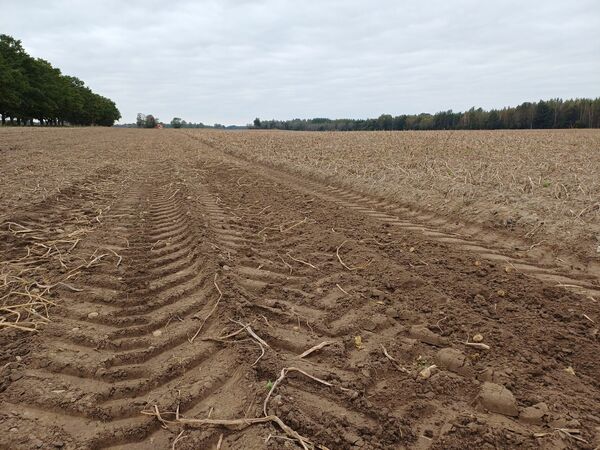 Foto: 360 Ziņas Foto: 360 Ziņas