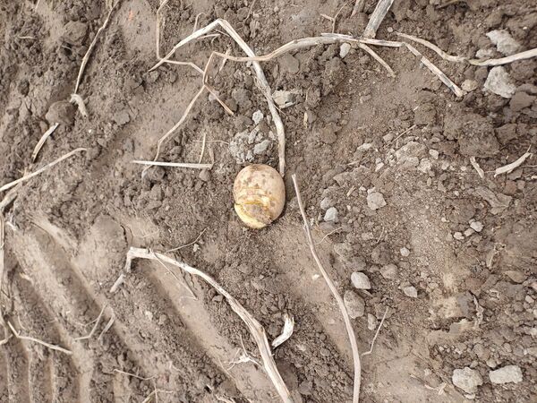 Foto: 360 Ziņas Foto: 360 Ziņas